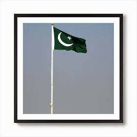 Pakistan Flag Art Print