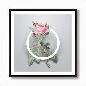 Vintage Four Seasons Rose Minimalist Botanical Geometric Circle on Soft Gray n.0100 Art Print