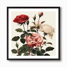 Rose Botanical Art Illustration 1 Art Print