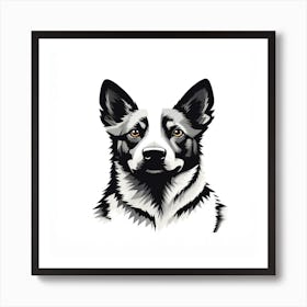 Australian Shepherd Dog3 Art Print