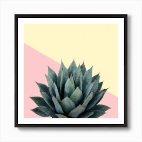 Agave Plant on Lemon and Pink Wall Art Print