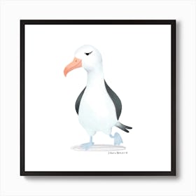 Albatross Art Print