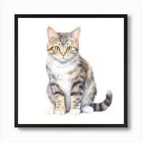 American Wirehair Shorthair Cat Portrait 2 Art Print