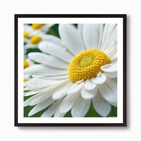 Daisy 3 Art Print