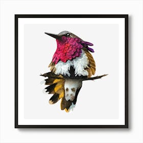 Hummingbird 4 Art Print