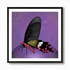 Mechanical Butterfly The Common Windmill Byasa Polyeuctes On A Purple Background Art Print