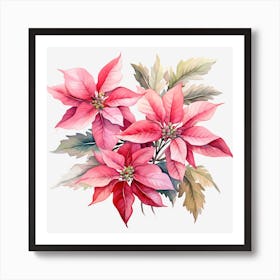 Poinsettia 27 Art Print