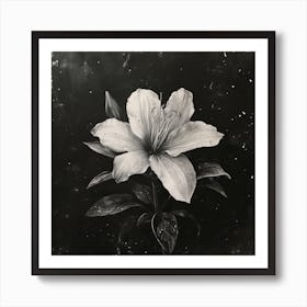 Oneeline42 A Rare Singularity Starflower Bloom In Heartbreak 1 Art Print