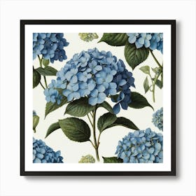 Hydrangea Blue Botanical Illustration Art Print