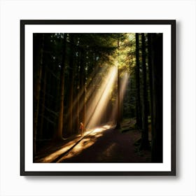 Light Of The Forest Art Print