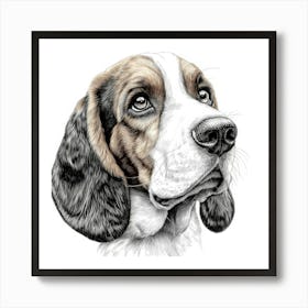 Basset Hound Art Print