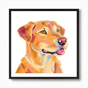 Labrador Retriever 01 Art Print