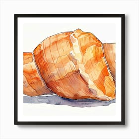 Watercolor Of A Seashell Art Print