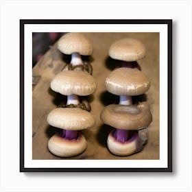 Fungi Art Print