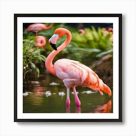 Flamingos In A Pond Art Print