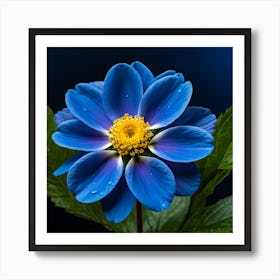 Blue Anemone Flower Art Print