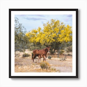 Wild Horse 1 Square Art Print