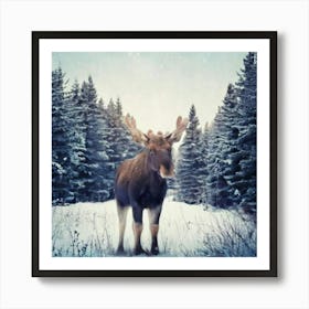 Firefly Scandinavian, Art, Illustration, Serene, Winter, Forest, Baby, Moose, Snowy, Clearing, Antle (1) Art Print