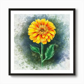 Zinnia Art Print