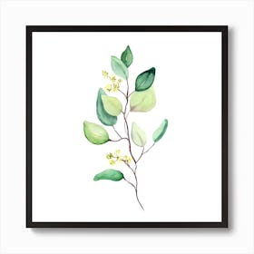 Eucalyptus Branch Art Print