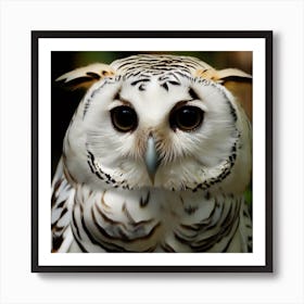 Owl white 2 Art Print