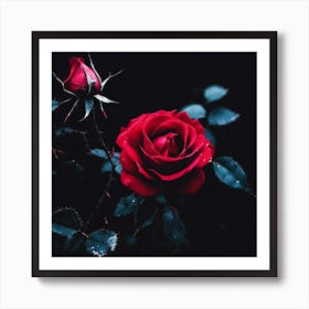 Dark Roses Art Print