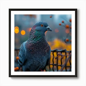 Pigeon In The Rain Art Print