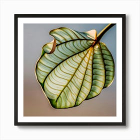 Tree Leaf Art Print