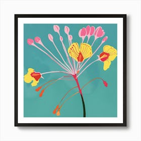 Peacock Flower 2 Square Flower Illustration Art Print