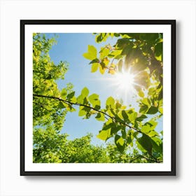 Sun Shining Through Green Leaves Art Print