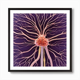 Brain And Spinal Cord 7 Art Print