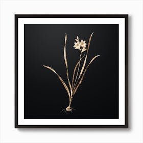 Gold Botanical Gladiolus Lineatus on Wrought Iron Black n.1210 Art Print