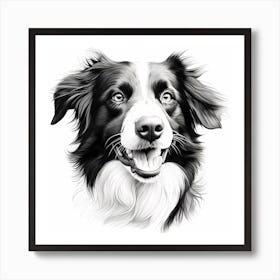 Black and White Collie Art Print