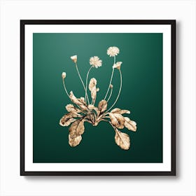 Gold Botanical Daisy Flowers on Dark Spring Green n.0445 Art Print
