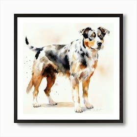 Australian Shepherd Art Print