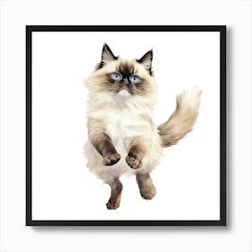 Siamese Cat 6 Art Print