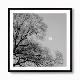 Full Moon Loves Winter Tree Black And White Square Art Print