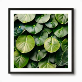 Close Up Of Green Leaves Art Print