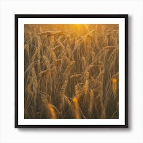 Sunset In A Wheat Field Art Print