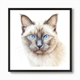 Colourpoint Cat Portrait 3 Art Print