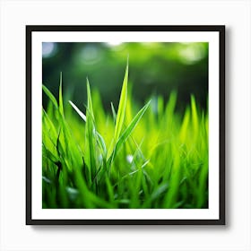 Grass Plant Texture Green Detail Nature Fresh Beautiful Summer Natural Spring Ecology Be (5) Art Print