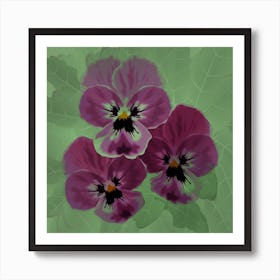 Three Lilac Viola Flowers With Green Leaves On A Green Background Art Print
