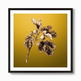 Gold Botanical Fig on Mango Yellow n.2861 Art Print