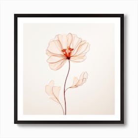 Poppy Flower 6 Art Print