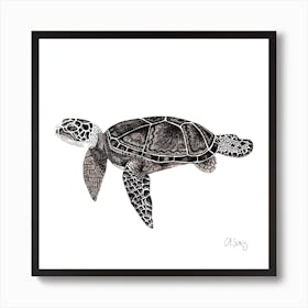 Black And White Turtle. 1 Art Print