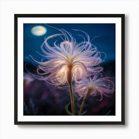 Moonlight Flower Art Print