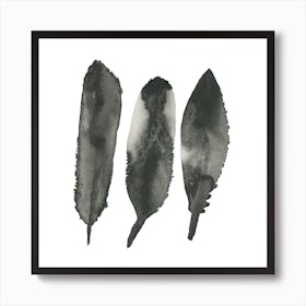 Feathered Stones Art Print