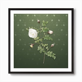 Vintage Silver Flower Hispid Rose Botanical on Lunar Green Pattern n.2517 Art Print