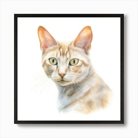 Colorpoint Shorthair Cat Portrait 3 Art Print