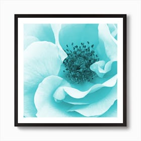 Blue Rose Art Print